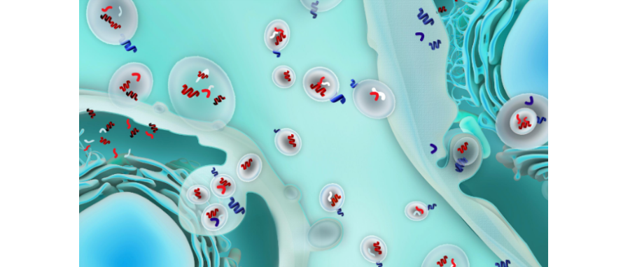 哪吒闹海！外泌体面纱大揭秘，我命由我不由天！