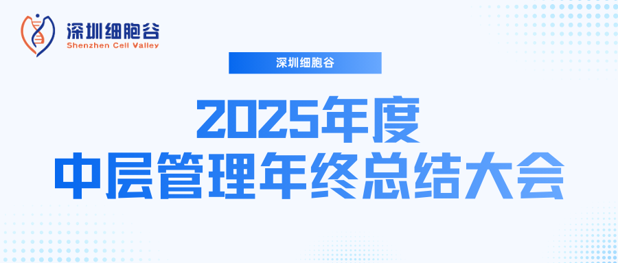 深圳evo真人视讯召开2025年度中层管理年终总结大会：多点布局成果丰硕，创新驱动快速开展
