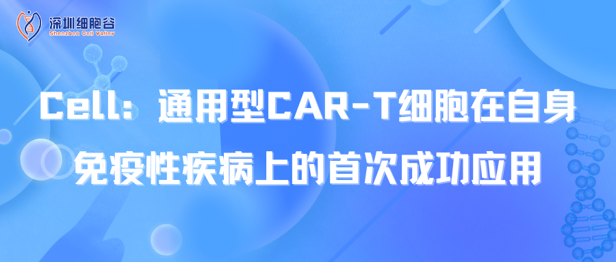 文献分享| Cell：通用型CAR-T细胞在自身免疫性疾病上的首次成功应用