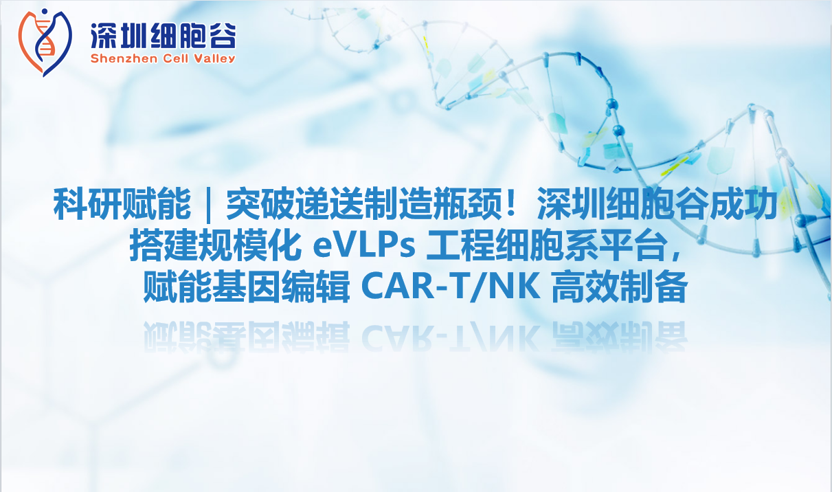 科研赋能｜突破递送制造瓶颈！深圳evo真人视讯成功搭建规模化 eVLPs 工程细胞系平台，赋能基因编辑 CAR-T/NK 高效制备