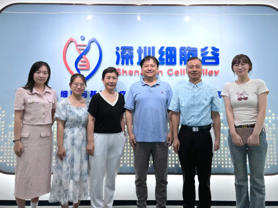 Director Wang Wei of Pathology and Director Sun Junzhong of Oncology from Pingshan Central Hospital Visit Shenzhen Cell Valley for Exchange