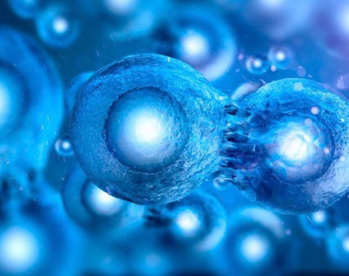 Stem Cell Exosomes